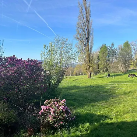 Koppelblick - Mein Swh Vakantiehuis *